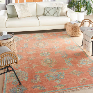 The Rug Corner Nourison Home Odessa ODS04 BRKMT Area Rugs  