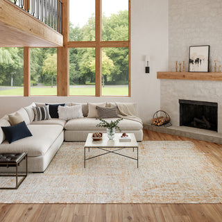 Nourison Home - Luna Blue/Mocha Area Rug LUN01