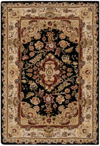The Rug Corner Nourison Home Nourison 2000 2028 BLK Area Rugs  