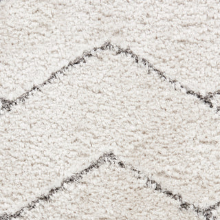 The Rug Corner Nourison Home Dreamy Shag DRS03 IVGRY Area Rugs  