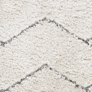 The Rug Corner Nourison Home Dreamy Shag DRS03 IVGRY Area Rugs  