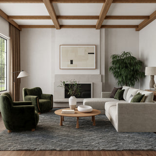 The Rug Corner Nourison Home Dreamy Shag DRS03 GREY Area Rugs  
