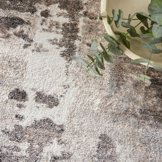 Nourison Home - American Manor Ivory/Mocha Area Rug ANB01 04