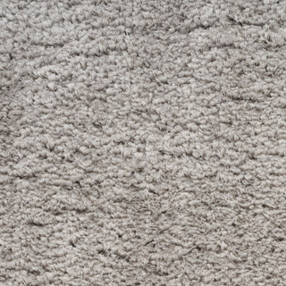 The Rug Corner Nourison Home Dreamy Shag DRS05 SILVR Area Rugs  