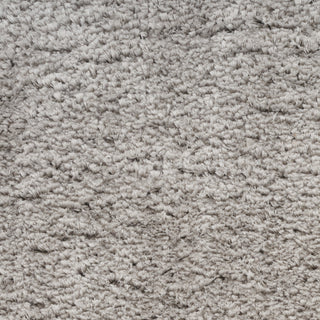 The Rug Corner Nourison Home Dreamy Shag DRS05 SILVR Area Rugs  