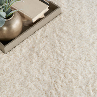 The Rug Corner Nourison Home Nourison Home - Dreamy Shag Ivory Area Rug DRS05  