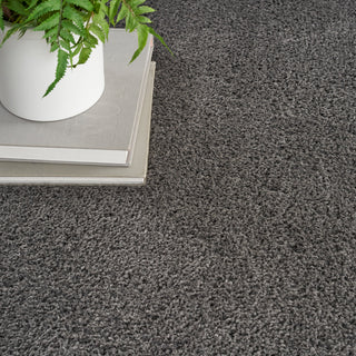 The Rug Corner Nourison Home Nourison Home - Dreamy Shag Grey Area Rug DRS05  