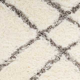 The Rug Corner Nourison Home Dreamy Shag DRS07 IVORY Area Rugs  