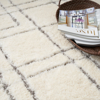 The Rug Corner Nourison Home Dreamy Shag DRS07 IVORY Area Rugs  