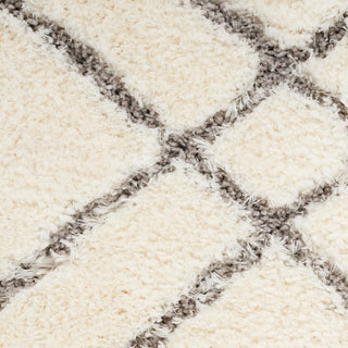 The Rug Corner Nourison Home Dreamy Shag DRS07 IVORY Area Rugs  