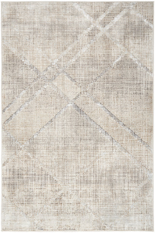 The Rug Corner Nourison Home Nourison Home - Sparkle Grey Area Rug ILI03  