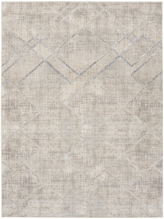 The Rug Corner Nourison Home Nourison Home - Sparkle Grey Area Rug ILI03  