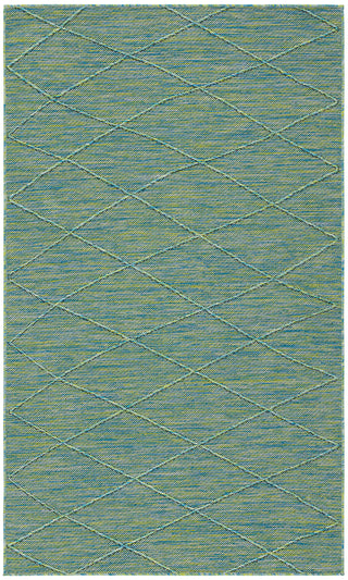 The Rug Corner Nourison Home Washable Solutions WSL01 BLGRN Area Rugs  