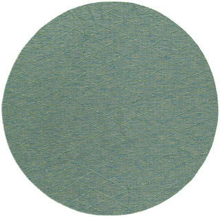 The Rug Corner Nourison Home Washable Solutions WSL01 BLGRN Area Rugs  