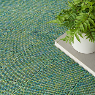 The Rug Corner Nourison Home Washable Solutions WSL01 BLGRN Area Rugs  