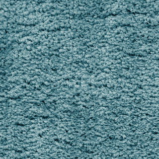 The Rug Corner Nourison Home Dreamy Shag DRS05 AQUA Area Rugs  