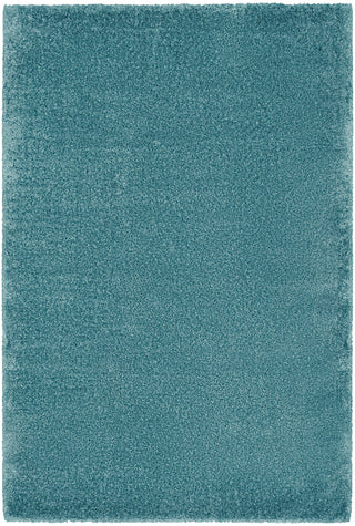 The Rug Corner Nourison Home Dreamy Shag DRS05 AQUA Area Rugs  