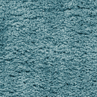The Rug Corner Nourison Home Dreamy Shag DRS05 AQUA Area Rugs  