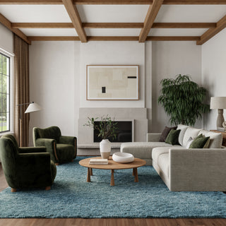The Rug Corner Nourison Home Dreamy Shag DRS05 AQUA Area Rugs  