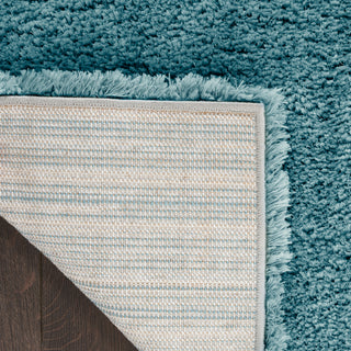 The Rug Corner Nourison Home Dreamy Shag DRS05 AQUA Area Rugs  