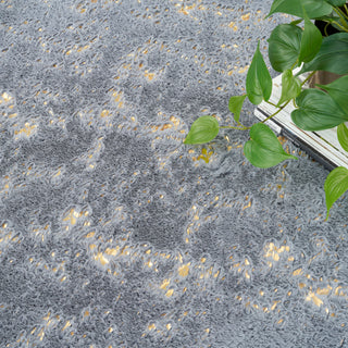 Cozy Shimmer CSH01 SLTGD Area Rugs