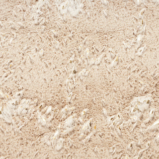 The Rug Corner Nourison Home Cozy Shimmer CSH01 BGEGD Area Rugs  