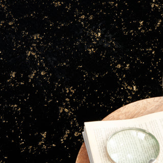 Nourison Home - Cozy Shimmer Black/Gold Area Rug CSH01