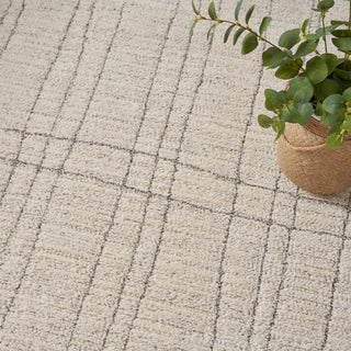 The Rug Corner Nourison Home Andes AND03 IVGRY Area Rugs  