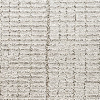 The Rug Corner Nourison Home Andes AND06 SILVR Area Rugs  