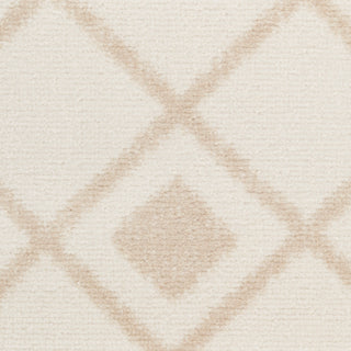 The Rug Corner Nourison Home Grafix GRF37 IVBGE Area Rugs  