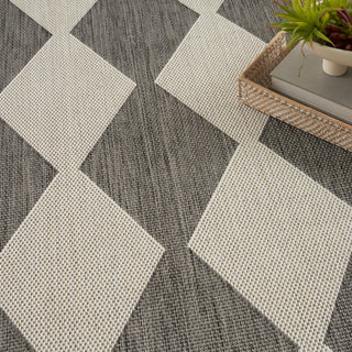 The Rug Corner Nourison Home Positano POS04 CHARC Area Rugs  