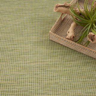 The Rug Corner Nourison Home Nourison Home - Positano Green Area Rug POS01  