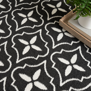 Nourison Home - Nourison Essentials Black/Ivory Area Rug NRE04
