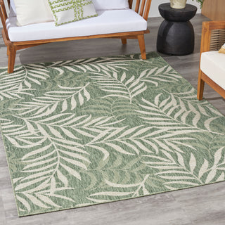 The Rug Corner Nourison Home Garden Oasis GOA01 GRNIV Area Rugs  