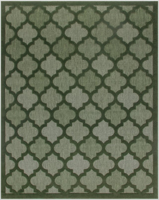 The Rug Corner Nourison Home Easy Care NES01 GREEN Area Rugs  