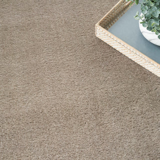 Nourison Home - Plush Cloud Taupe Area Rug PLC01