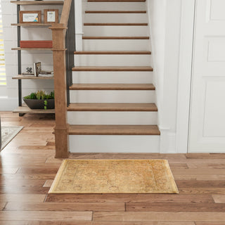 Nourison Home - Luxurious Gold Area Rug LRS02