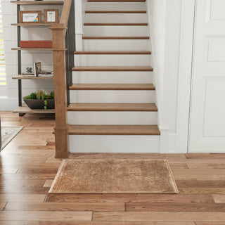Nourison Home - Luxurious Taupe Area Rug LRS02