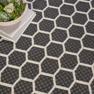 The Rug Corner Nourison Home Twist Reversible TWS01 BLACK Area Rugs  