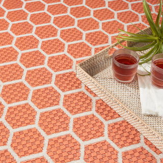The Rug Corner Nourison Home Twist Reversible TWS01 CORAL Area Rugs  