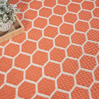 The Rug Corner Nourison Home Twist Reversible TWS01 CORAL Area Rugs  