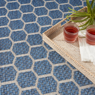 The Rug Corner Nourison Home Twist Reversible TWS01 BLUE Area Rugs  
