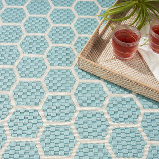 The Rug Corner Nourison Home Twist Reversible TWS01 AQUA Area Rugs  
