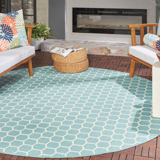 The Rug Corner Nourison Home Twist Reversible TWS01 AQUA Area Rugs  