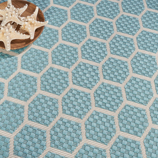The Rug Corner Nourison Home Twist Reversible TWS01 AQUA Area Rugs  