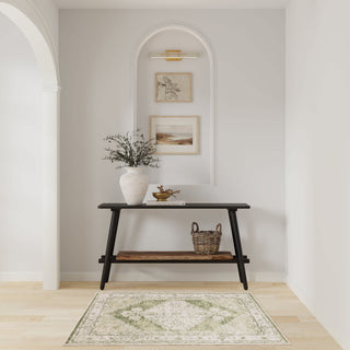 The Rug Corner Nourison Home Astra Machine Washable ASW11 IVGRN Area Rugs  