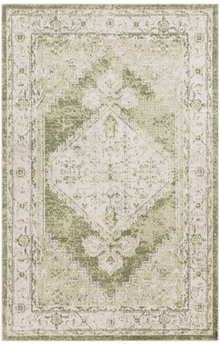 The Rug Corner Nourison Home Astra Machine Washable ASW11 IVGRN Area Rugs  