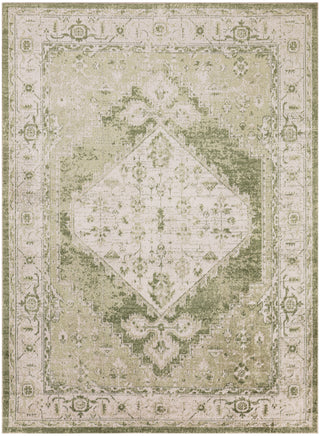 The Rug Corner Nourison Home Astra Machine Washable ASW11 IVGRN Area Rugs  