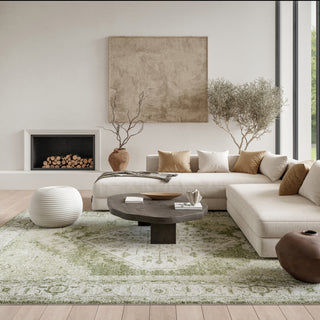 The Rug Corner Nourison Home Astra Machine Washable ASW11 IVGRN Area Rugs  