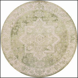 The Rug Corner Nourison Home Nourison Home - Astra Machine Washable Ivory/Green Area Rug ASW12  